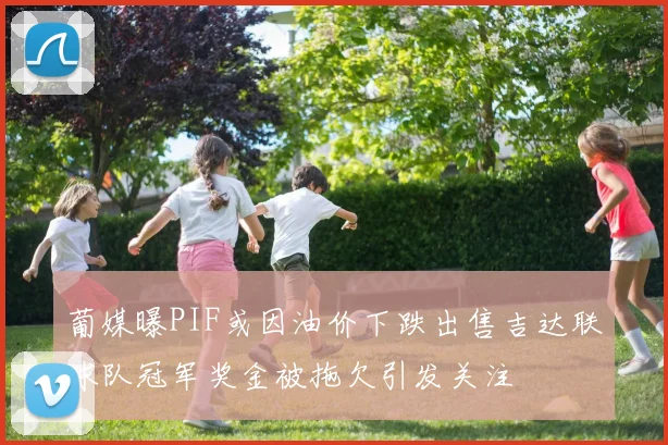 葡媒曝PIF或因油价下跌出售吉达联球队冠军奖金被拖欠引发关注