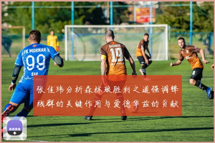 张佳玮分析森林狼胜利之道强调锋线群的关键作用与爱德华兹的贡献