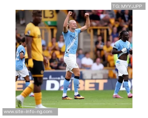 谢尔基分享与哈兰德的交流心得进球庆祝方式引发热议