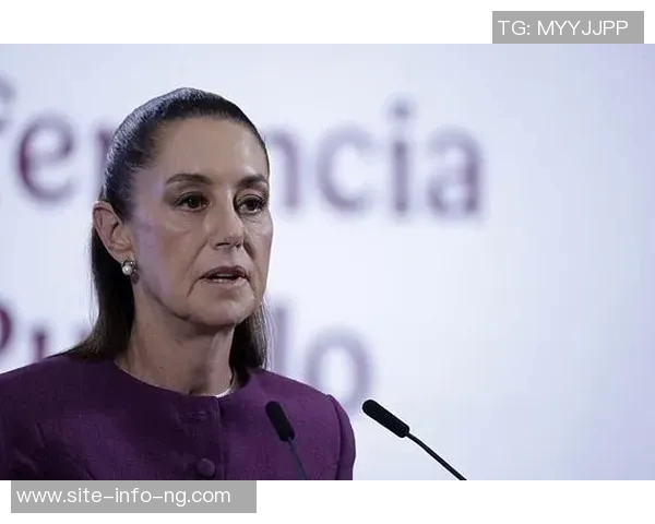 墨西哥总统强调打击贩毒不影响世界杯安全保障